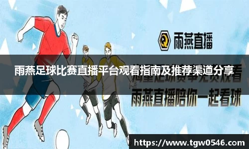 雨燕足球比赛直播平台观看指南及推荐渠道分享