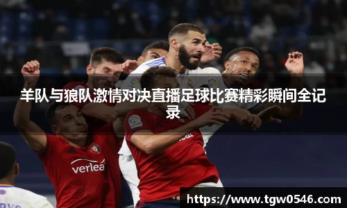 羊队与狼队激情对决直播足球比赛精彩瞬间全记录