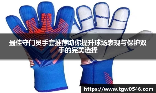 最佳守门员手套推荐助你提升球场表现与保护双手的完美选择